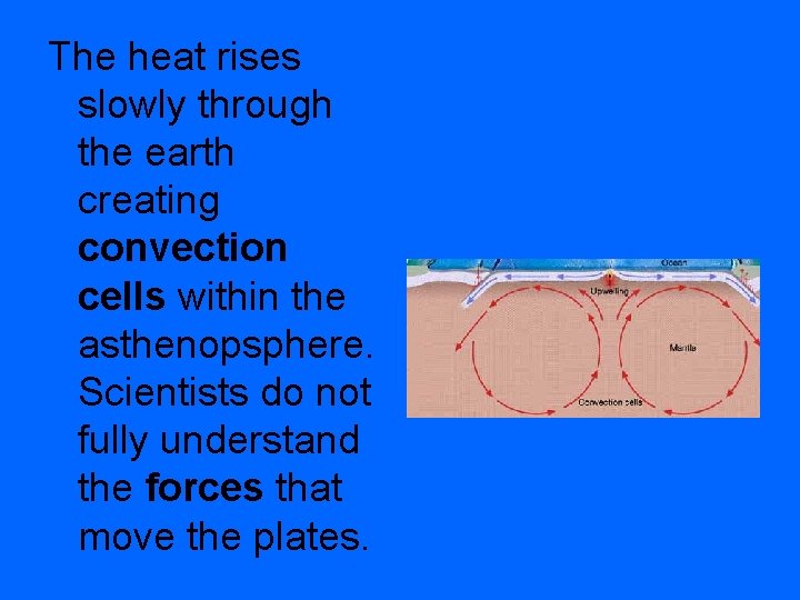 The heat rises slowly through the earth creating convection cells within the asthenopsphere. Scientists