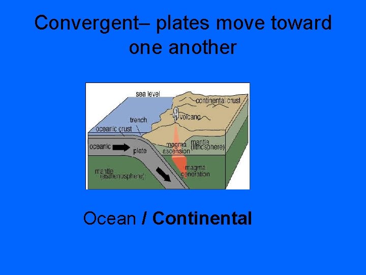 Convergent– plates move toward one another Ocean / Continental 