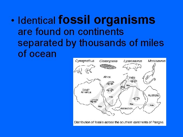  • Identical fossil organisms are found on continents separated by thousands of miles