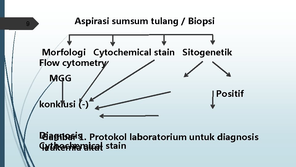 Aspirasi sumsum tulang / Biopsi 9 Morfologi Cytochemical stain Sitogenetik Flow cytometry MGG konklusi