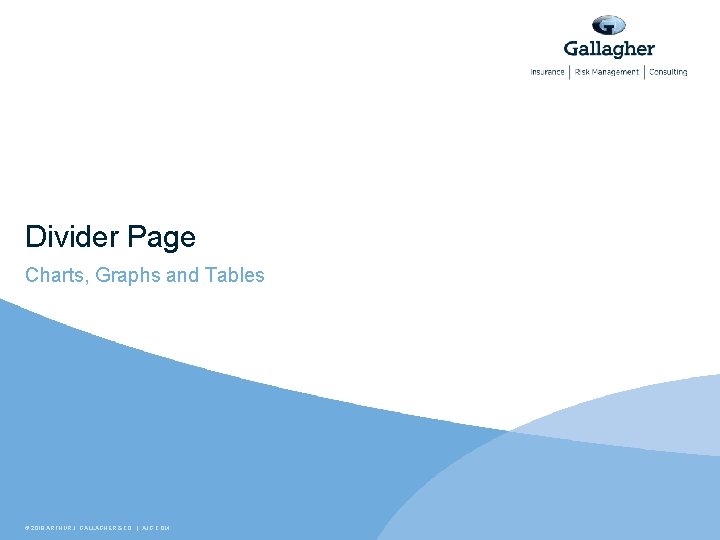 Divider Page Charts, Graphs and Tables © 2019 ARTHUR J. GALLAGHER & CO. |