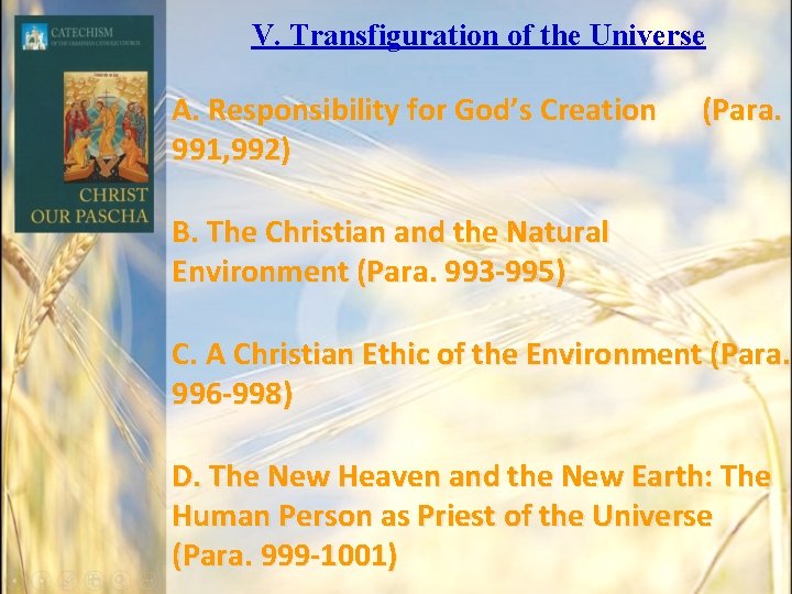 V. Transfiguration of the Universe A. Responsibility for God’s Creation 991, 992) (Para. B. V. Transfiguration of the Universe A. Responsibility for God’s Creation 991, 992) (Para. B.