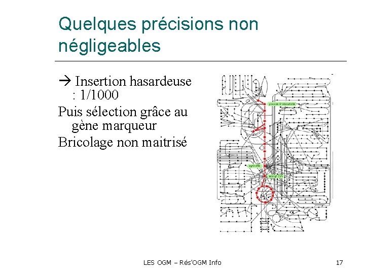Quelques précisions non négligeables Insertion hasardeuse : 1/1000 Puis sélection grâce au gène marqueur