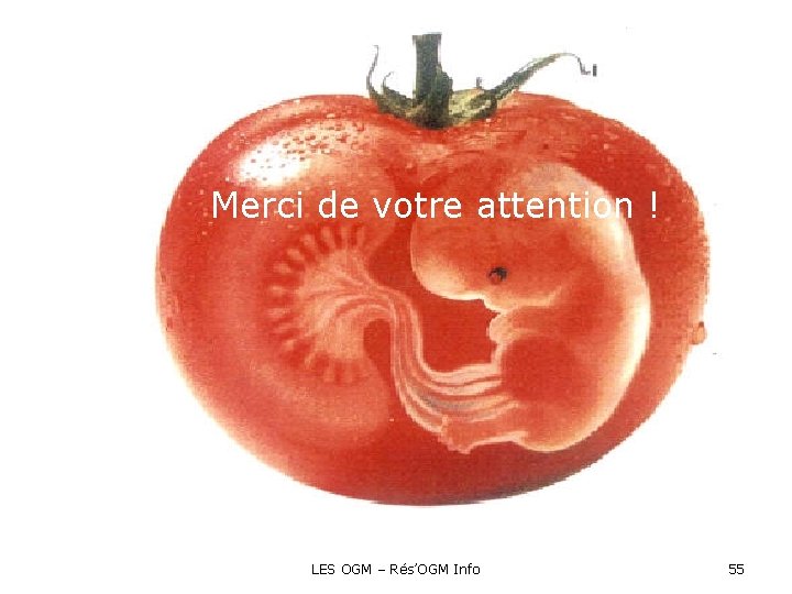 Merci de votre attention ! LES OGM – Rés’OGM Info 55 