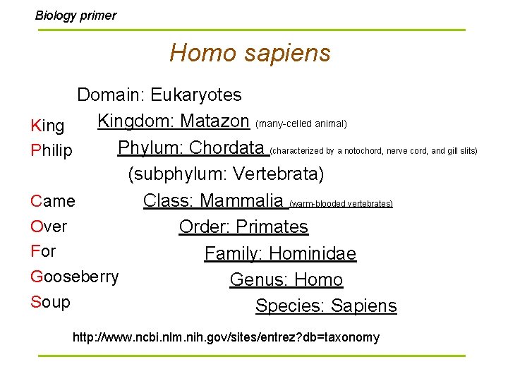 Biology primer Homo sapiens Domain: Eukaryotes Kingdom: Matazon (many-celled animal) King Phylum: Chordata (characterized