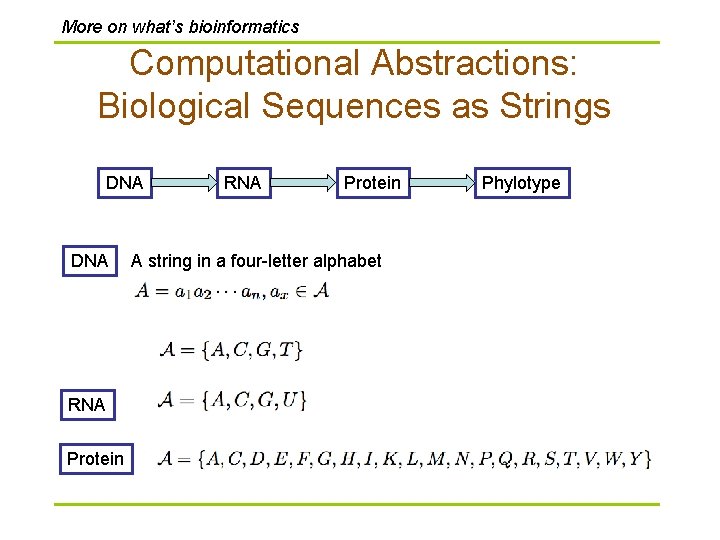 More on what’s bioinformatics Computational Abstractions: Biological Sequences as Strings DNA RNA Protein A