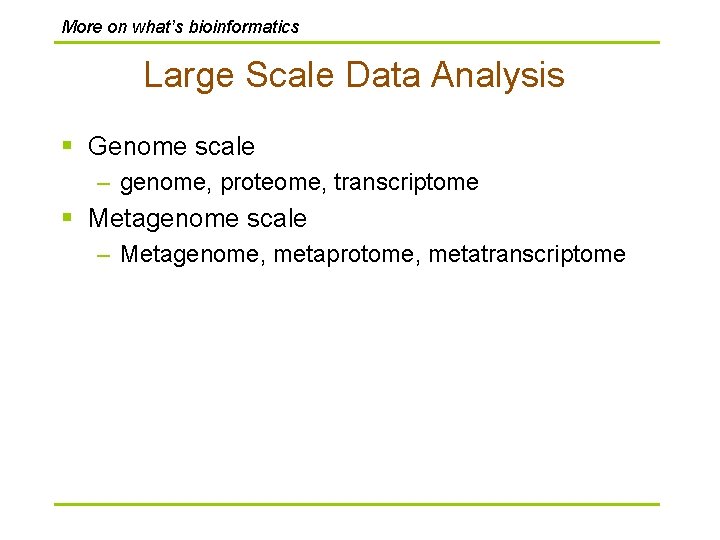 More on what’s bioinformatics Large Scale Data Analysis § Genome scale – genome, proteome,