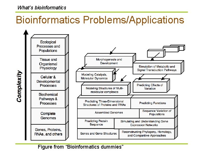 What’s bioinformatics Bioinformatics Problems/Applications Figure from “Bioinformatics dummies” 
