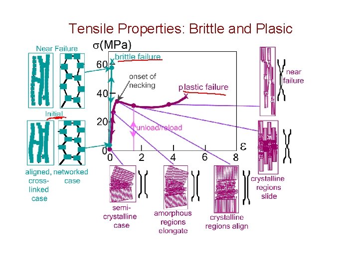 Tensile Properties: Brittle and Plasic 