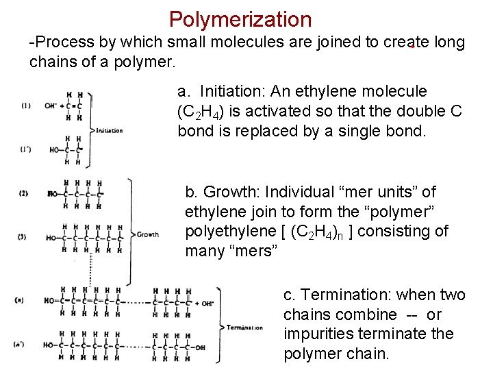 Polymerization -Process by which small molecules are joined to create long chains of a