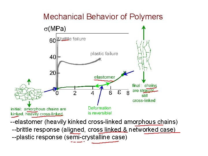 Mechanical Behavior of Polymers --elastomer (heavily kinked cross-linked amorphous chains) --brittle response (aligned, cross