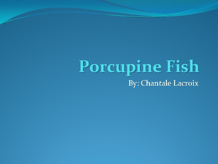 Porcupine Fish By: Chantale Lacroix 