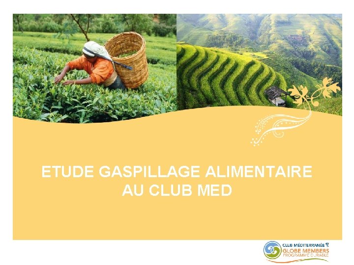 ETUDE GASPILLAGE ALIMENTAIRE AU CLUB MED 