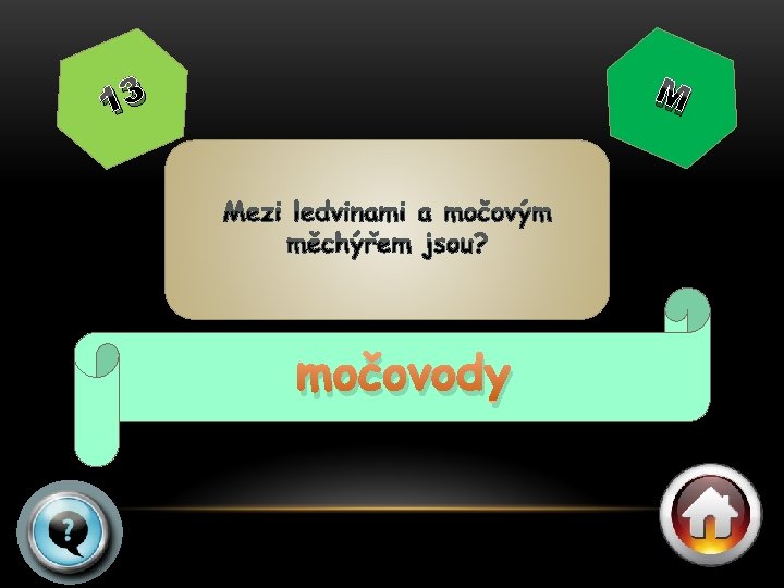 M 13 močovody 