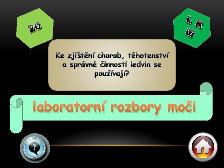 20 LR M laboratorní rozbory moči 