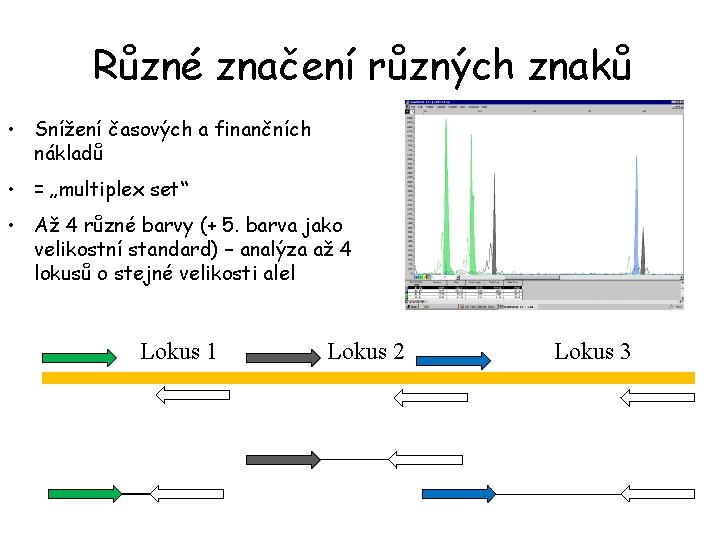 Různé značení různých znaků • Snížení časových a finančních nákladů • = „multiplex set“