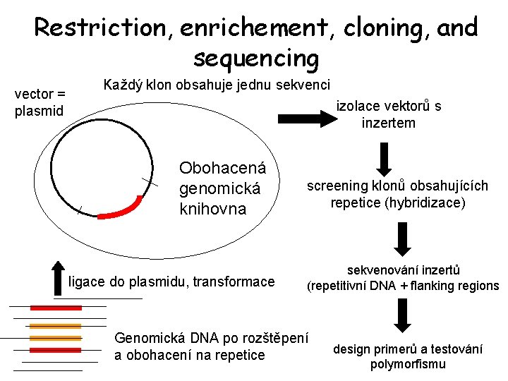 Restriction, enrichement, cloning, and sequencing vector = plasmid Každý klon obsahuje jednu sekvenci izolace