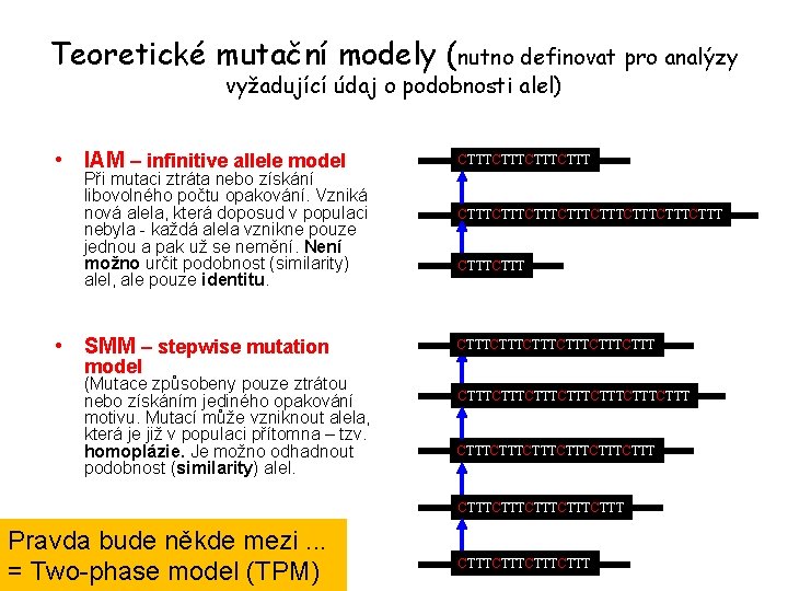 Teoretické mutační modely (nutno definovat pro analýzy vyžadující údaj o podobnosti alel) • IAM