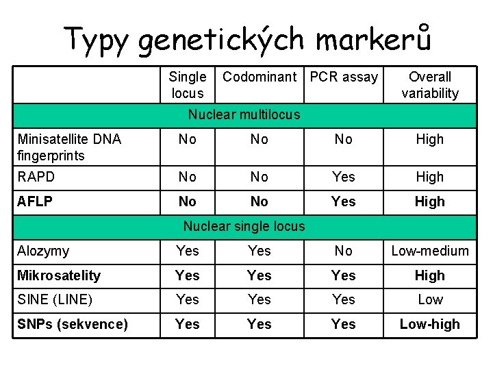 Typy genetických markerů Single locus Codominant PCR assay Overall variability Nuclear multilocus Minisatellite DNA