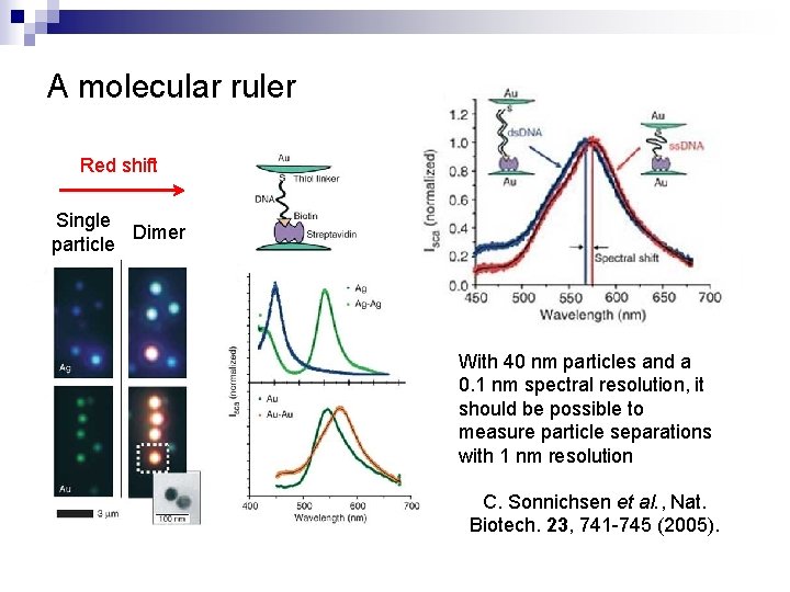 A molecular ruler Red shift Single Dimer particle With 40 nm particles and a