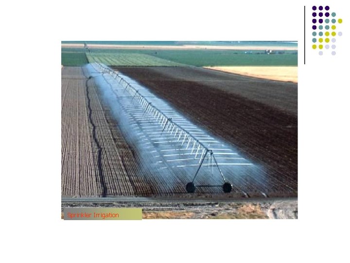 Sprinkler Irrigation 