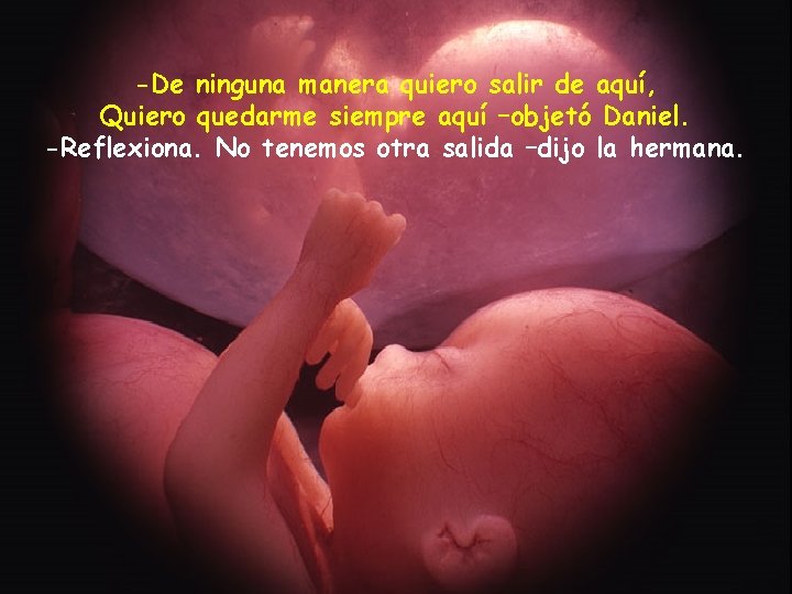 -De ninguna manera quiero salir de aquí, Quiero quedarme siempre aquí –objetó Daniel. -Reflexiona.