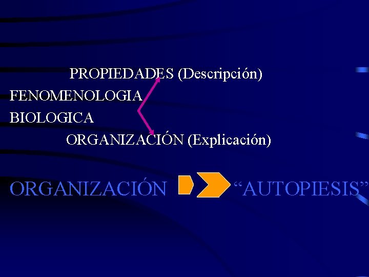 PROPIEDADES (Descripción) FENOMENOLOGIA BIOLOGICA ORGANIZACIÓN (Explicación) ORGANIZACIÓN “AUTOPIESIS” 