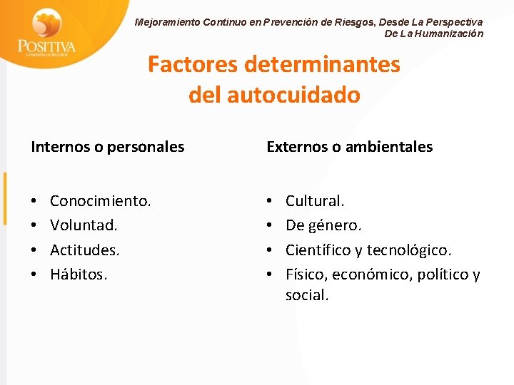 Mejoramiento Continuo en Prevención de Riesgos, Desde La Perspectiva De La Humanización Factores determinantes