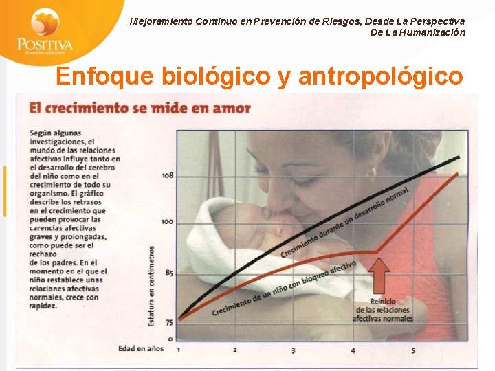 Mejoramiento Continuo en Prevención de Riesgos, Desde La Perspectiva De La Humanización Enfoque biológico