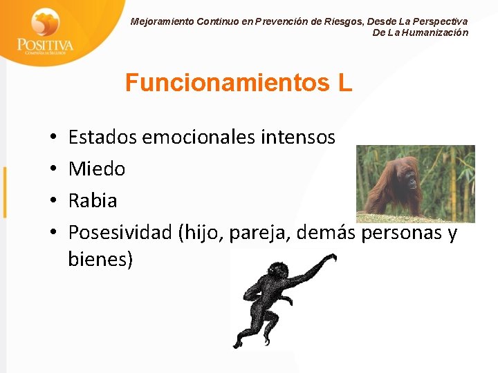 Mejoramiento Continuo en Prevención de Riesgos, Desde La Perspectiva De La Humanización Funcionamientos L