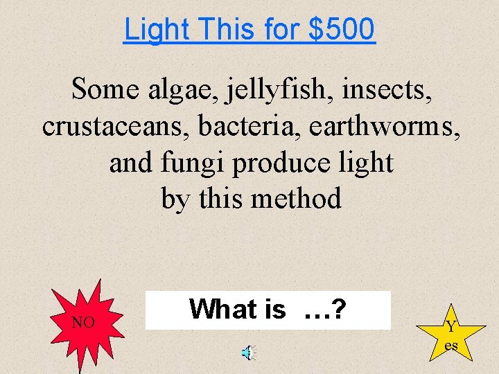 Light This for $500 Some algae, jellyfish, insects, crustaceans, bacteria, earthworms, and fungi produce