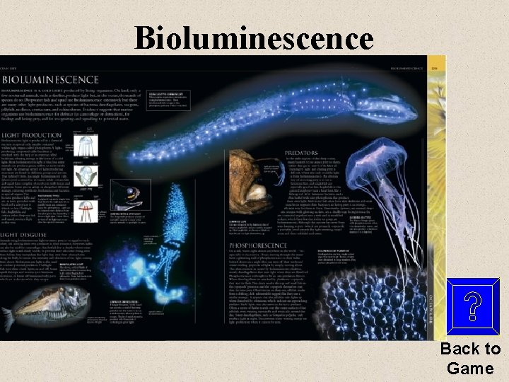 Bioluminescence Back to Game 