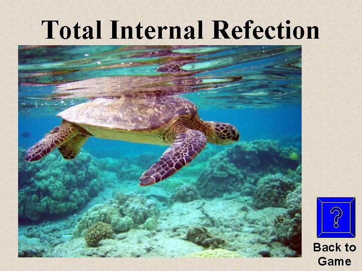 Total Internal Refection Back to Game 