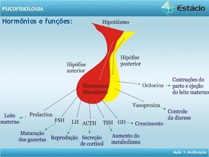 PSICOFISIOLOGIA Hormônios e funções: Aula 1 - Motivação 