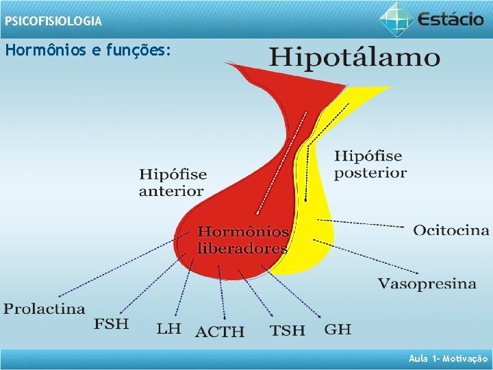 PSICOFISIOLOGIA Hormônios e funções: Aula 1 - Motivação 