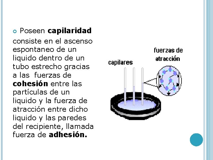  Poseen capilaridad consiste en el ascenso espontaneo de un liquido dentro de un