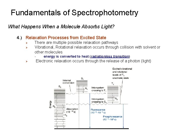 Fundamentals of Spectrophotometry What Happens When a Molecule Absorbs Light? 4. ) Relaxation Processes