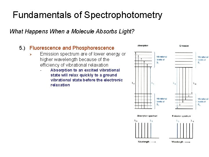 Fundamentals of Spectrophotometry What Happens When a Molecule Absorbs Light? 5. ) Fluorescence and