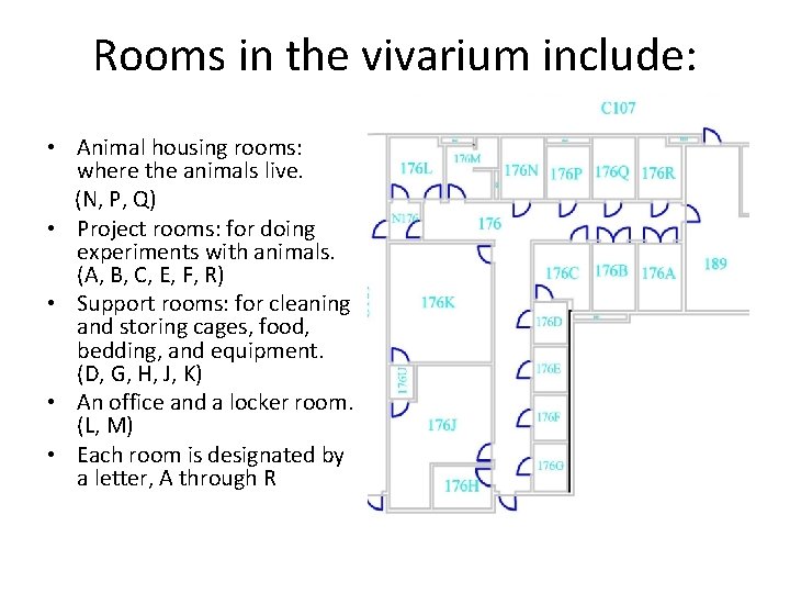 Rooms in the vivarium include: • Animal housing rooms: where the animals live. (N,