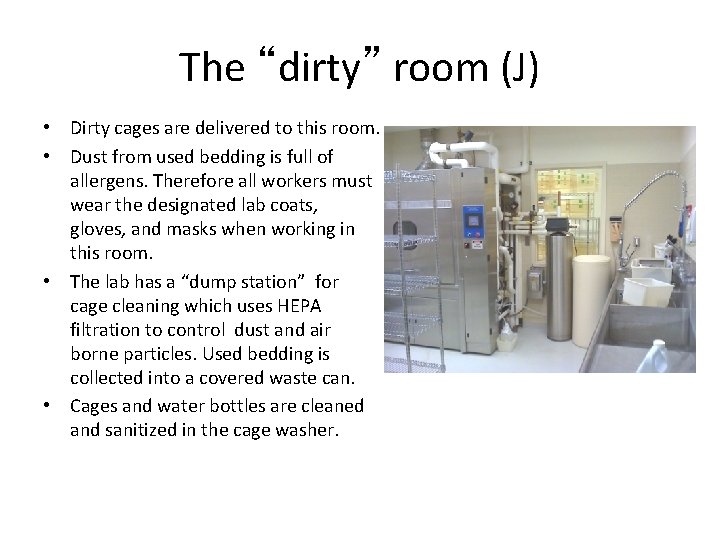 The “dirty” room (J) • Dirty cages are delivered to this room. • Dust