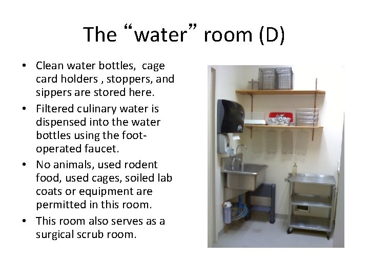 The “water” room (D) • Clean water bottles, cage card holders , stoppers, and