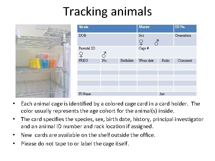 Tracking animals Strain Master ID No. DOB Sex Generation ♀ Parental ID Cage #