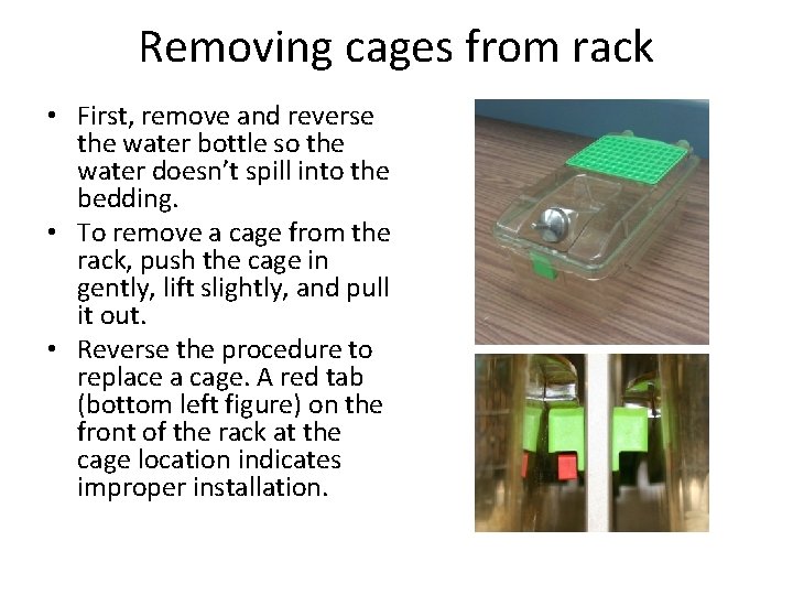 Removing cages from rack • First, remove and reverse the water bottle so the
