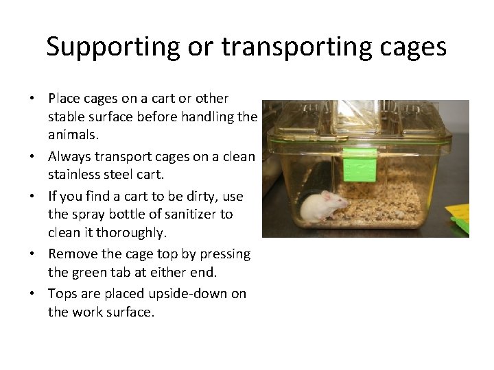 Supporting or transporting cages • Place cages on a cart or other stable surface