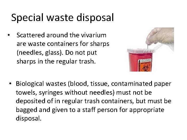 Special waste disposal • Scattered around the vivarium are waste containers for sharps (needles,