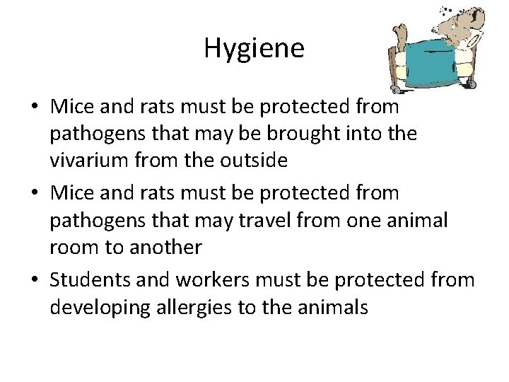 Hygiene • Mice and rats must be protected from pathogens that may be brought