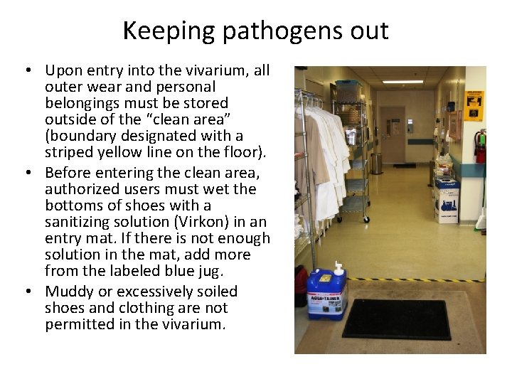 Keeping pathogens out • Upon entry into the vivarium, all outer wear and personal