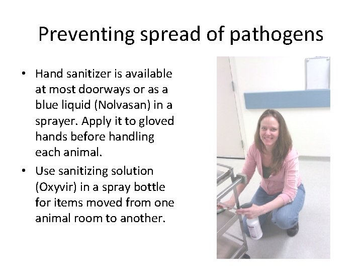 Preventing spread of pathogens • Hand sanitizer is available at most doorways or as