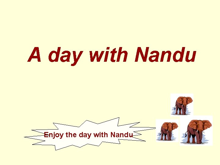 A day with Nandu Enjoy the day with Nandu 