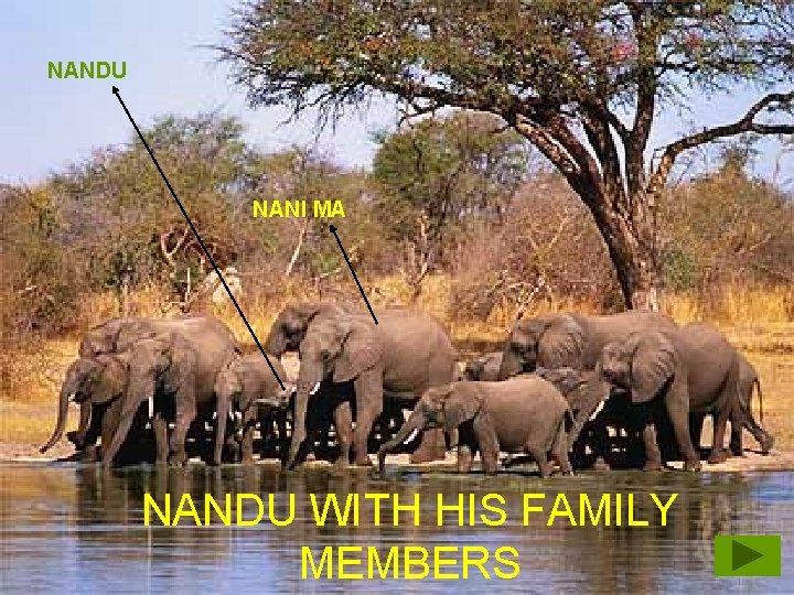 NANDU NANI MA NANDU WITH HIS FAMILY MEMBERS 